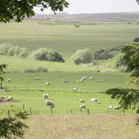 Tatil Evi Pond Farm Woodlands *