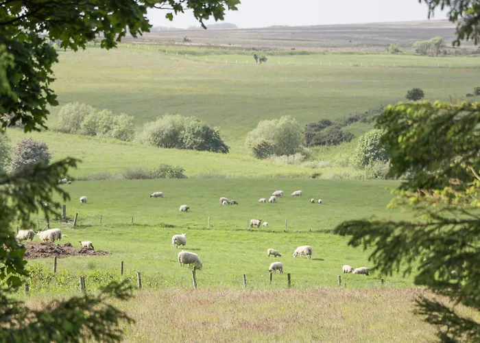 Semesterbostad Pond Farm Woodlands *