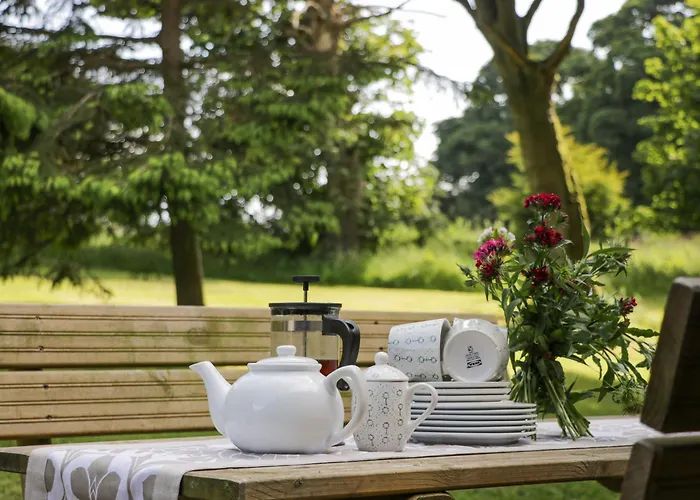 Pond Farm Woodlands *