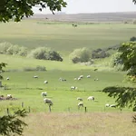 Сasa de vacaciones Pond Farm Woodlands *